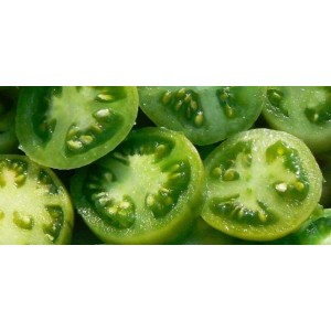  GREEN TOMATOES IN PAIL